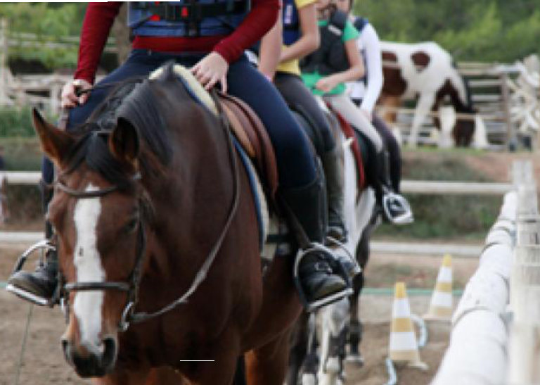 Clubes y Entidades Deportivas