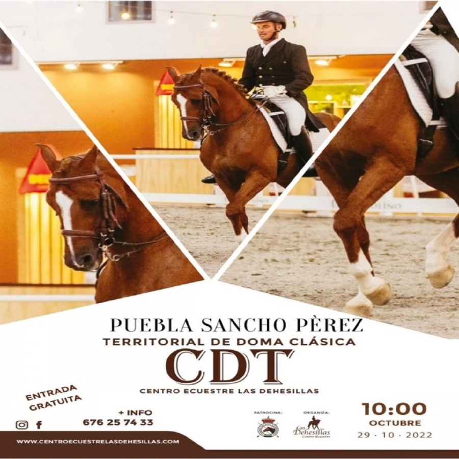 CDT-CONCURSO TERRITORIAL DE DOMA CLASICA C.E. LAS DEHESILLAS